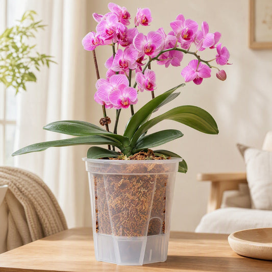 Siproot™ Plastic Self-Watering Flower Pot in a calm home setting