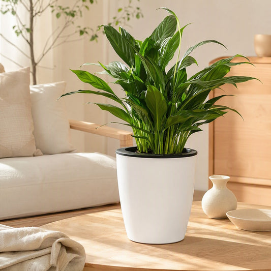 Rootsip™ Resin Self-Watering Flower Pot in a calm home setting