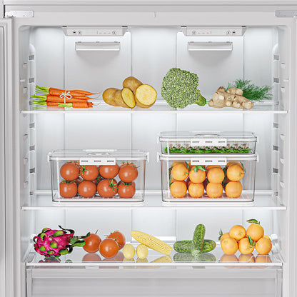 Shouyi refrigerator storage box plastic kitchen organizing timing frozen PET sealed white transparent crisper - image 3