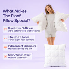 Ploof Pillow