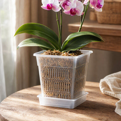 Rootgleam™ Transparent Resin Orchid Flower Pot, styled close view