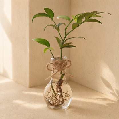 Clearroot™ Transparent Resin Flower Pot
