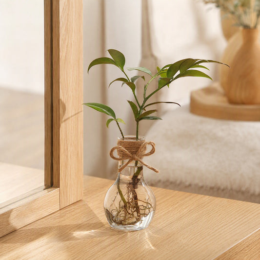 Clearroot™ Transparent Resin Flower Pot in a calm home setting