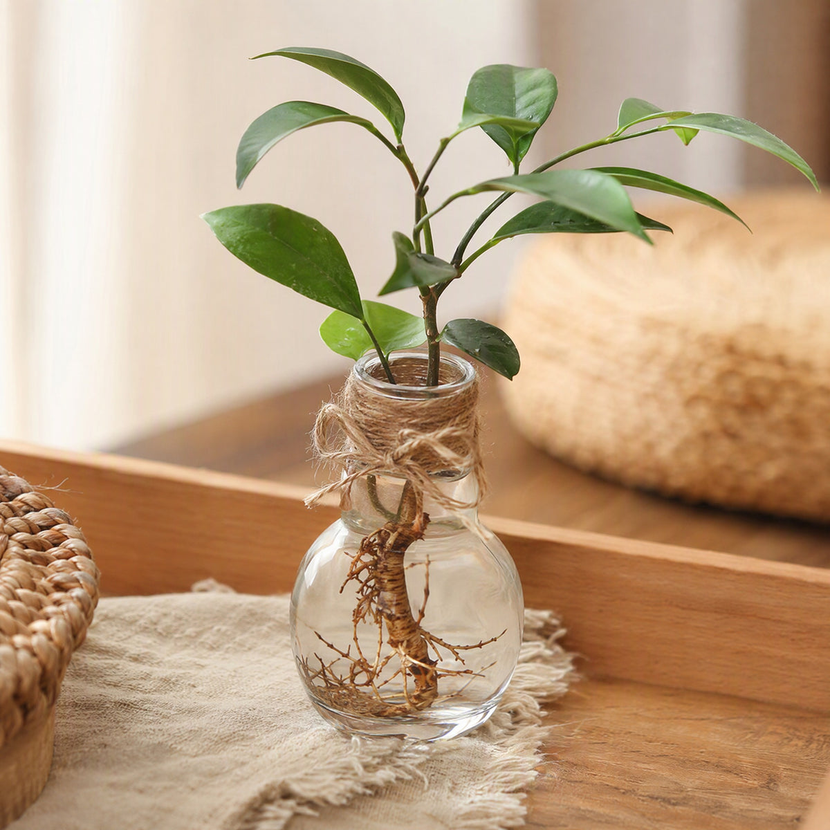 Clearroot™ Transparent Resin Flower Pot, styled close view