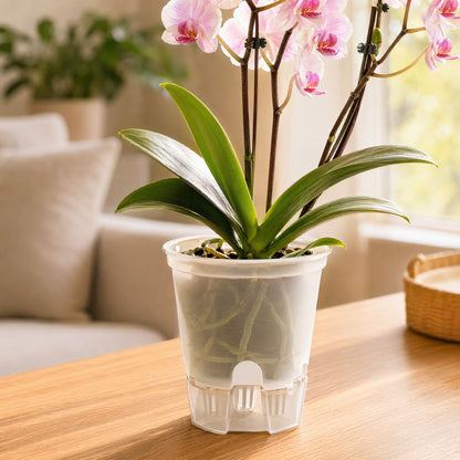 Siproot™ Plastic Self-Watering Flower Pot, styled close view