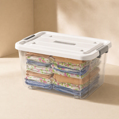 Seethru™ Transparent Plastic Storage Box