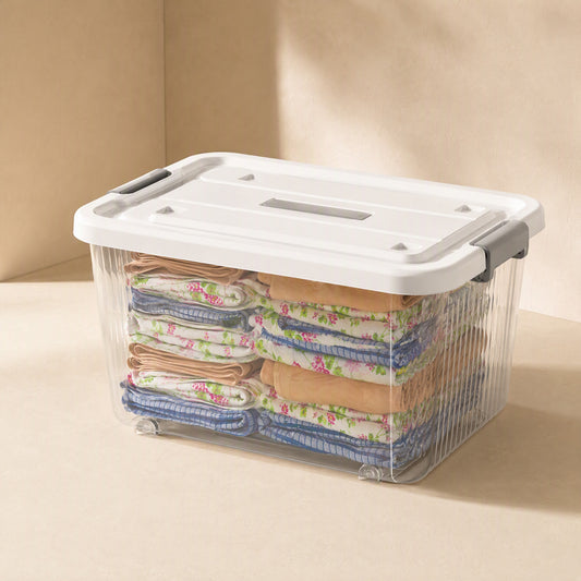Seethru™ Transparent Plastic Storage Box