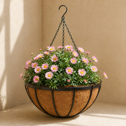 Hangbloom™ Iron Hanging Basket Flower Pot