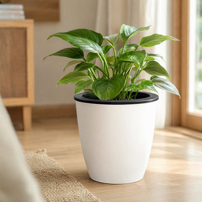 Rootsip™ Resin Self-Watering Flower Pot, styled close view