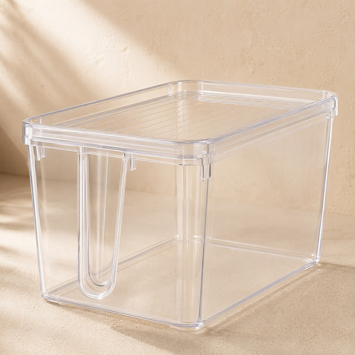 Clearbin™ Transparent Refrigerator Storage Box, material and detail close-up