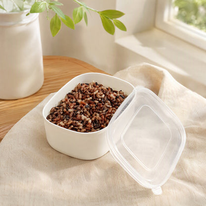 Ricebox™ 280ml Plastic Rice Lunch Box in a calm home setting
