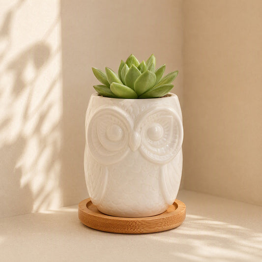 Owlgarden™ Ceramic Owl Flowerpot