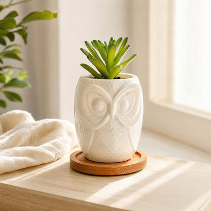 Owlgarden™ Ceramic Owl Flowerpot in a calm home setting