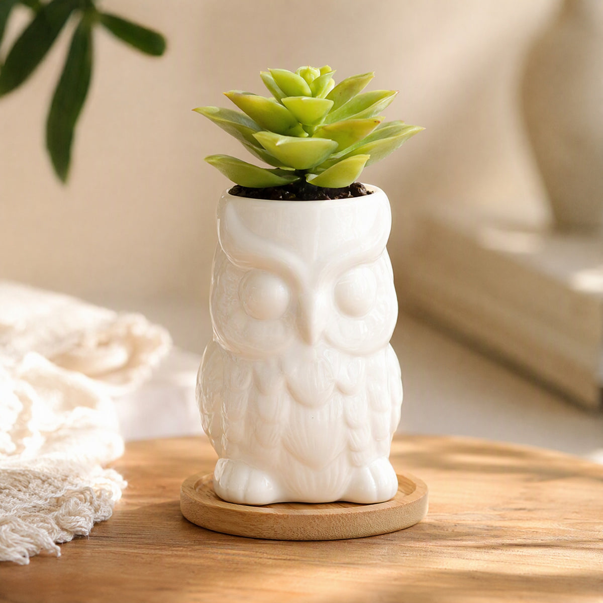 Owlgarden™ Ceramic Owl Flowerpot, styled close view