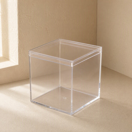 Lidview™ Transparent PS Plastic Display Box With Lid