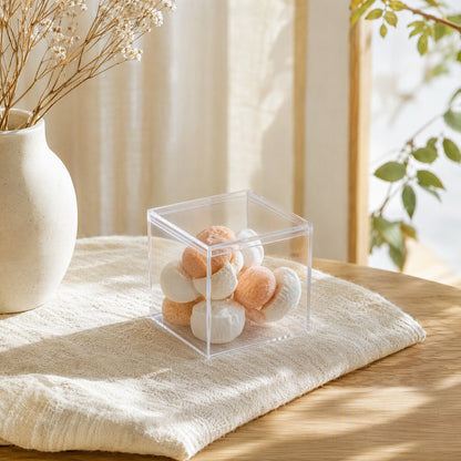 Lidview™ Transparent PS Plastic Display Box With Lid in a calm home setting