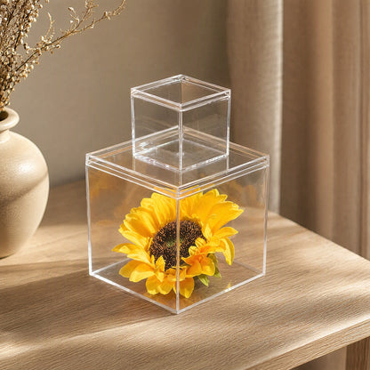 Lidview™ Transparent PS Plastic Display Box With Lid, styled close view