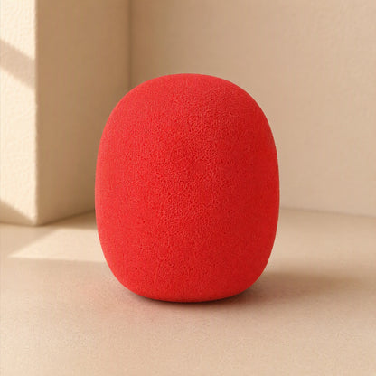Thickhush™ Thickened Microphone Sponge Cover