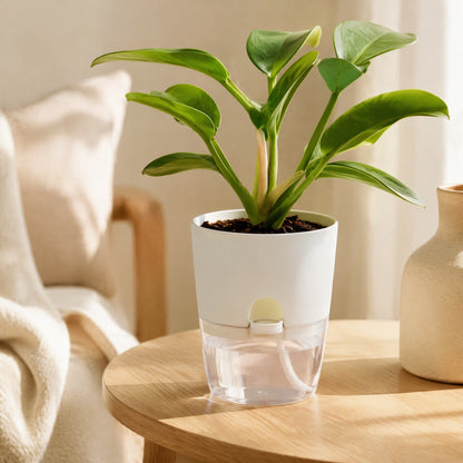 Sipview™ Transparent PP Self-Watering Flower Pot in a calm home setting
