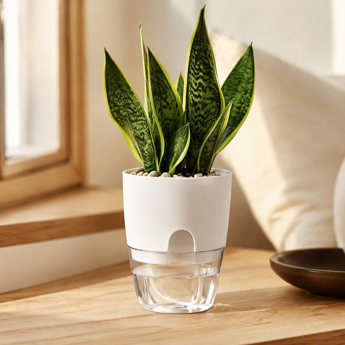 Sipview™ Transparent PP Self-Watering Flower Pot, styled close view