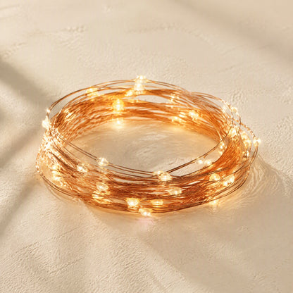 Glowstrand™ LED Copper Wire Light String, material and detail close-up
