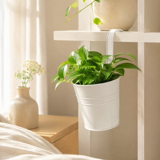 Ironhang™ Iron Hanging Flower Pot in a calm home setting