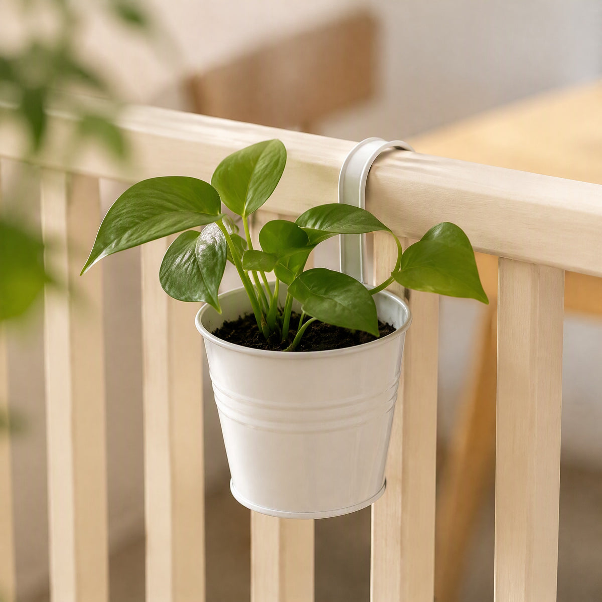 Ironhang™ Iron Hanging Flower Pot, styled close view