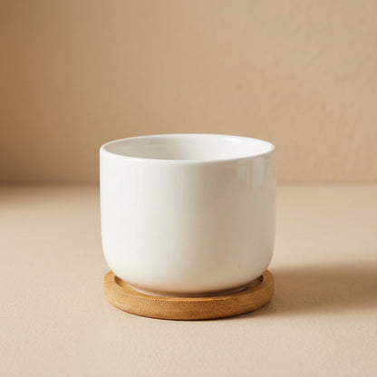 Rootclay™ Ceramic Succulent Flower Pot, material and detail close-up