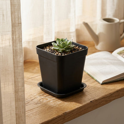 Trayroot™ PP Plastic Flower Pot With Tray, styled close view