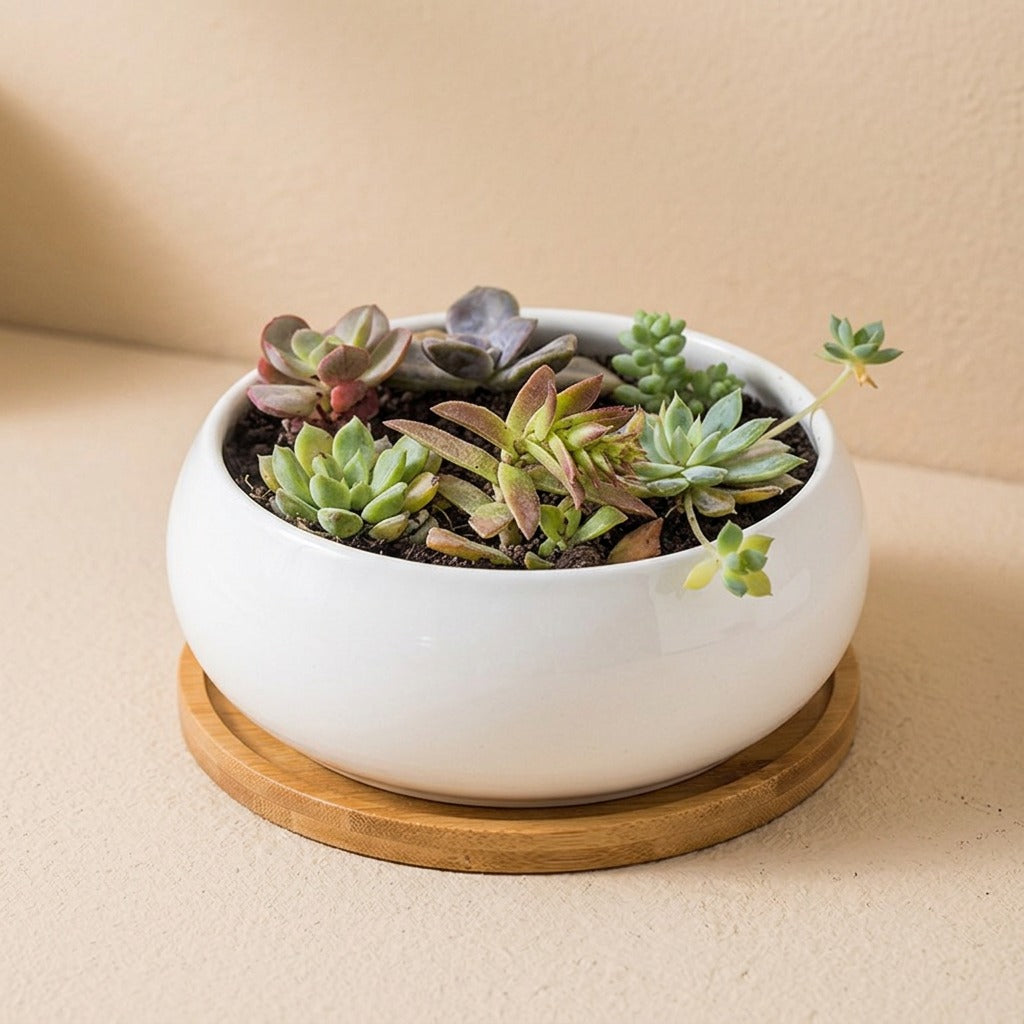 Petalbowl™ Porcelain Flower Pot Vase, material and detail close-up