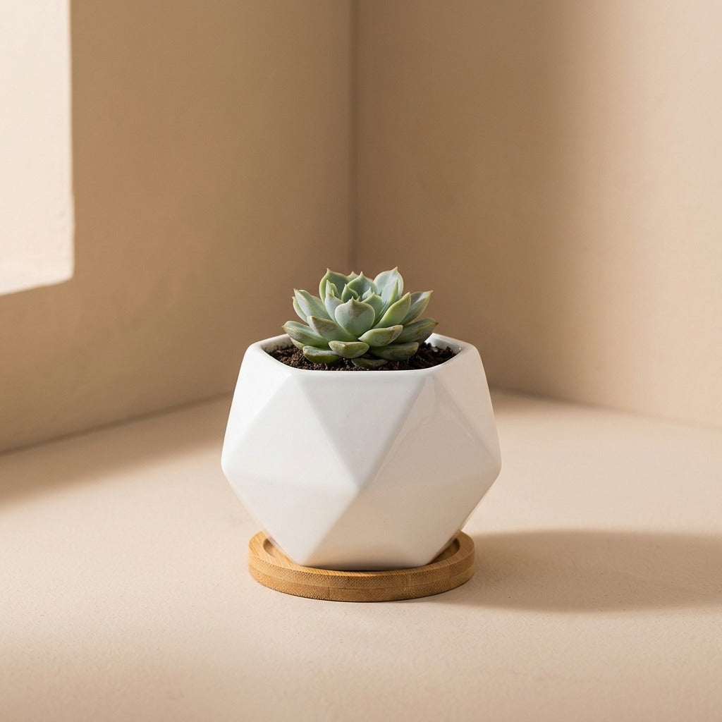Petalbowl™ Porcelain Flower Pot Vase