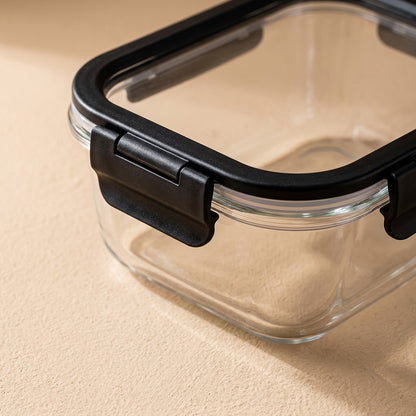 Glassnest™ High Borosilicate Glass Lunch Box, material and detail close-up