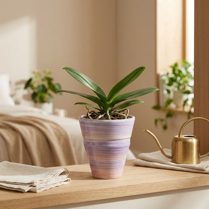 Macaronclay™ Macaron Ceramic Flower Pot in a calm home setting