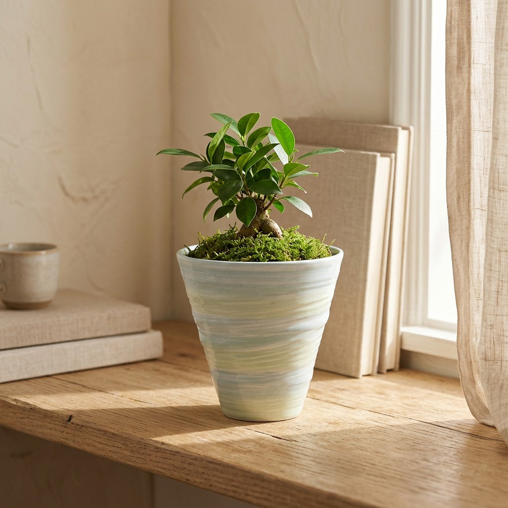 Macaronclay™ Macaron Ceramic Flower Pot, styled close view