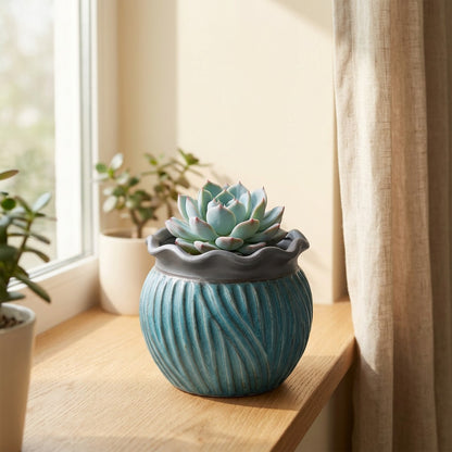 Succulent™ Ceramic Succulent Flower Pots in a calm home setting