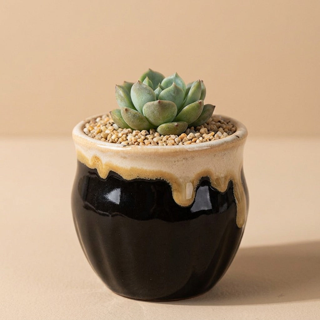 Petalpot™ Ceramic Desktop Flowerpot, material and detail close-up