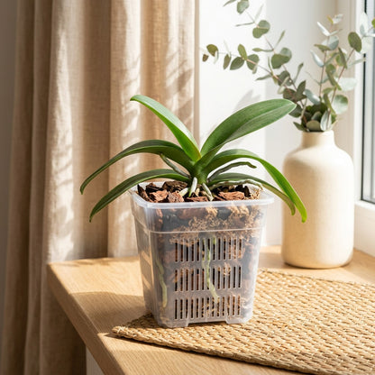 Airroot™ Breathable Plastic Flower Pot in a calm home setting