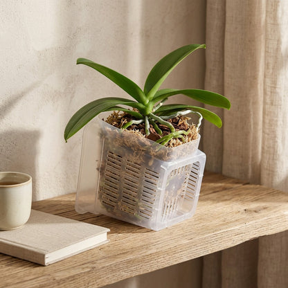 Airroot™ Breathable Plastic Flower Pot, styled close view
