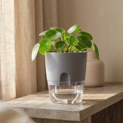 Dewroot™ Plastic Self-Watering Flower Pot, styled close view