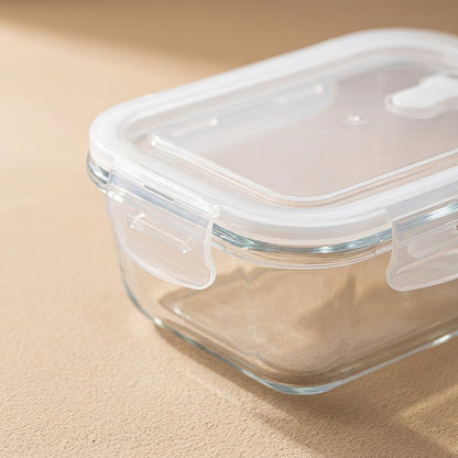 Freshseal™ Borosilicate Glass Food Container with Lid, material and detail close-up