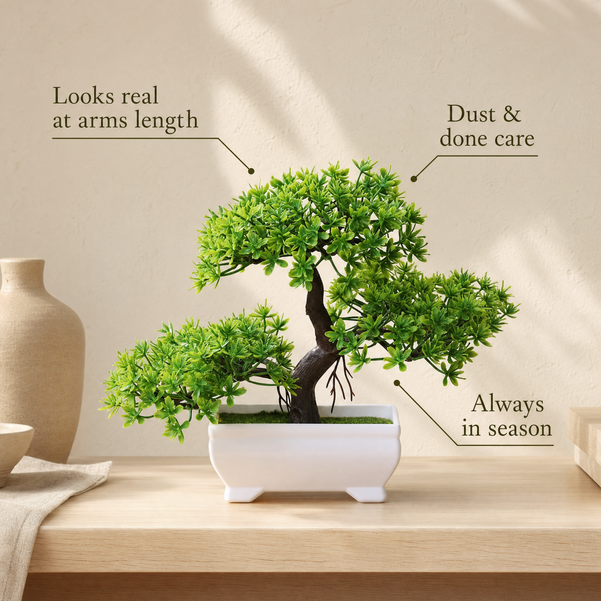 Grove bonsai foliage detail with benefits