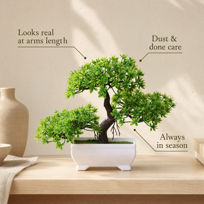 Grove bonsai foliage detail with benefits