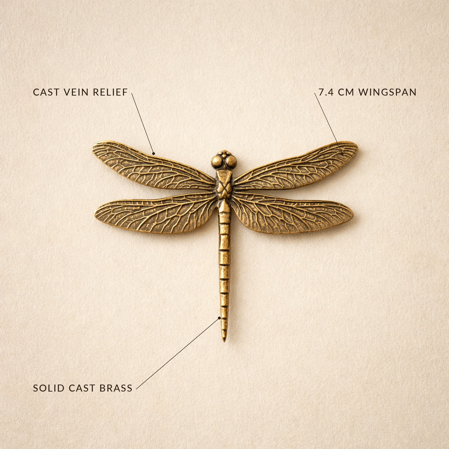 Overhead view of the brass dragonfly labelled cast vein relief, 7.4 cm wingspan, solid cast brass