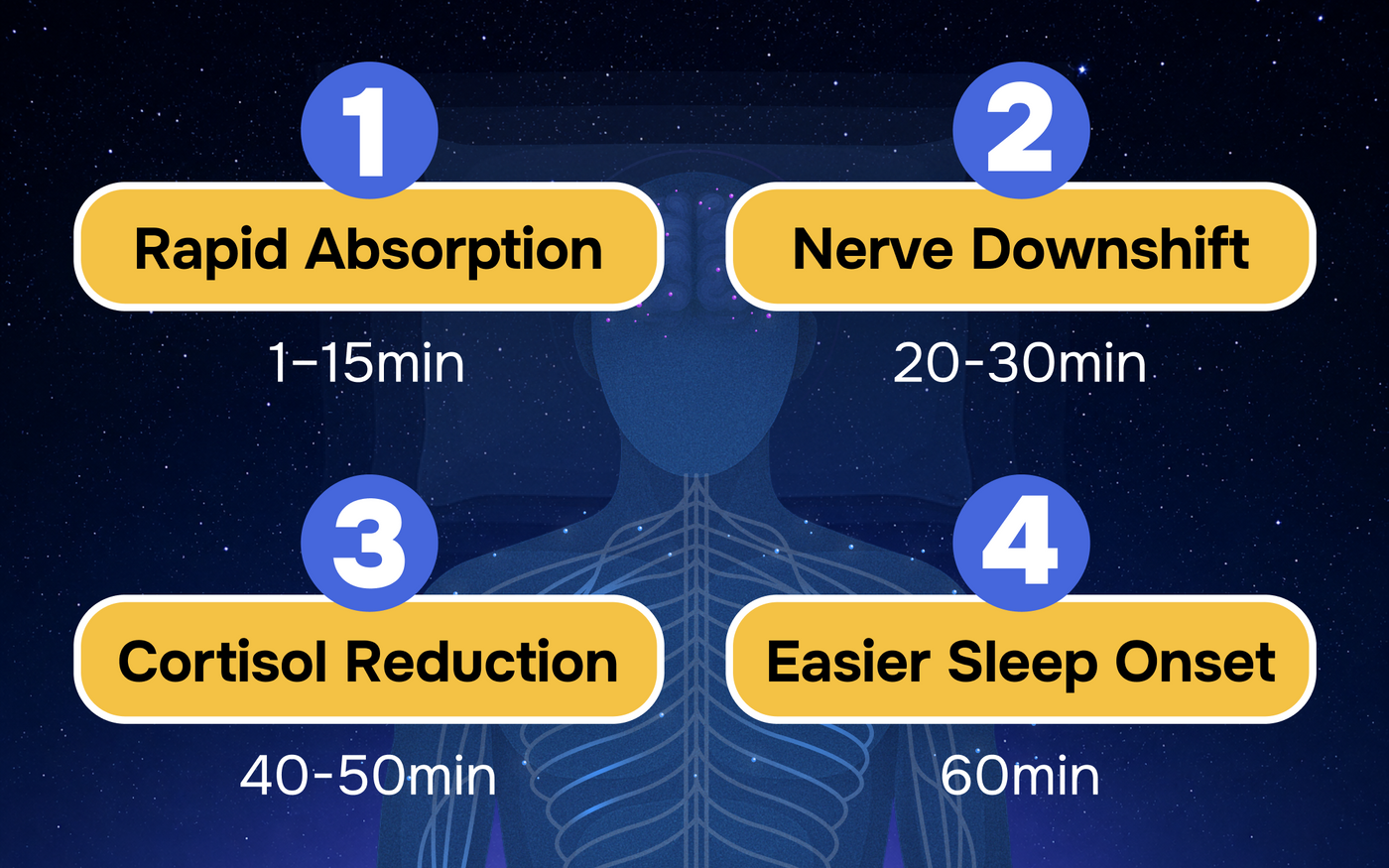 This Is How It Works Inside Your Body