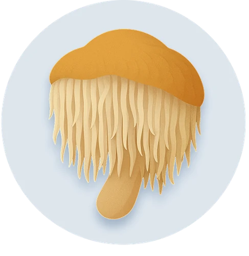 M2 Lions Mane
